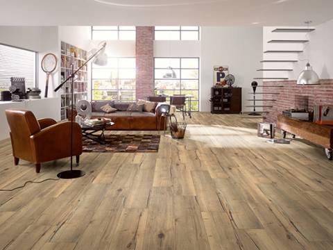 aranzacja dab valley